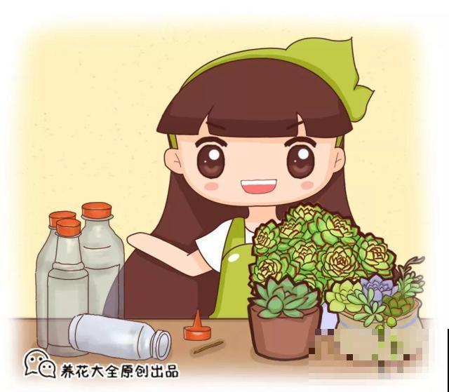 废油桶戳个洞，扦插3天就成活，养花再也不烂根！