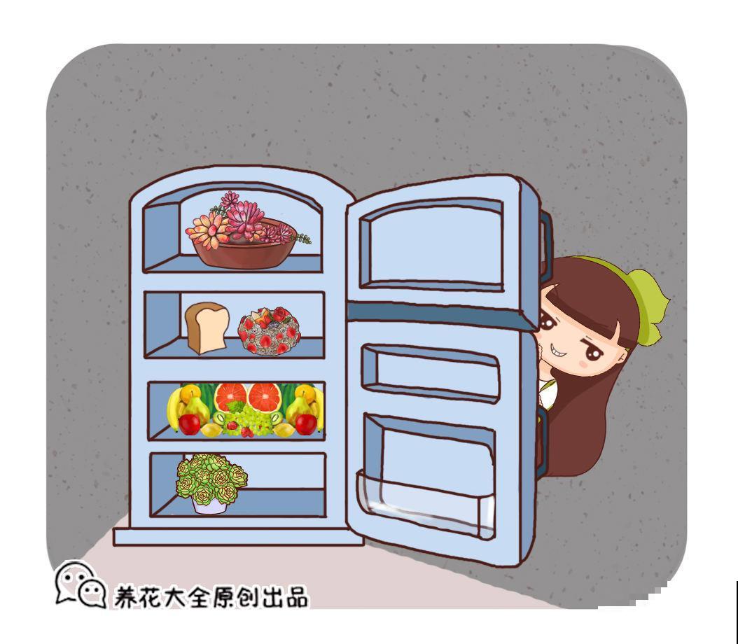 家里冰箱多准备几块冰块，5用处可大了，不看就后悔