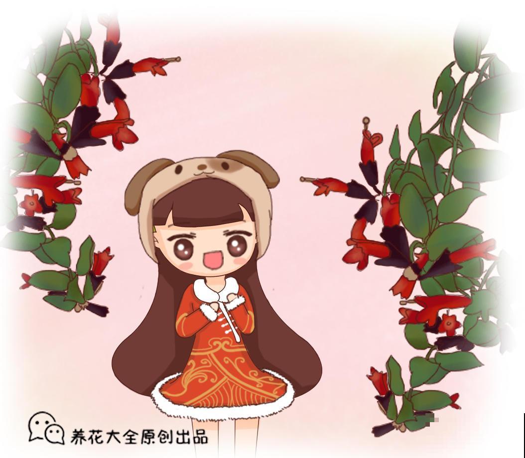 赶快移栽一盆金盏花，过几天就能赏花，秋天就养它