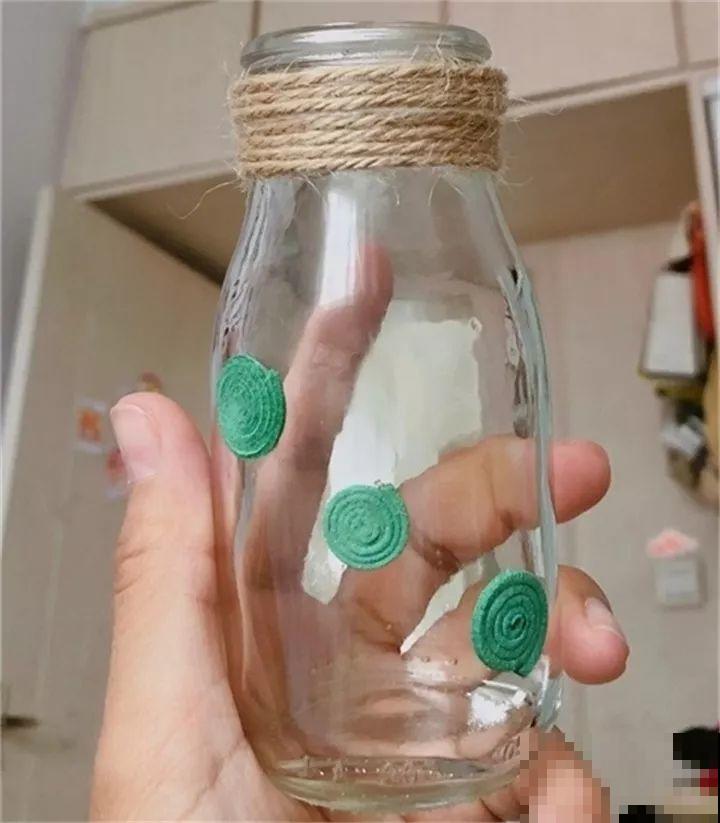 旧筷子先别扔，这样绑一绑，拿来养花有大用处！