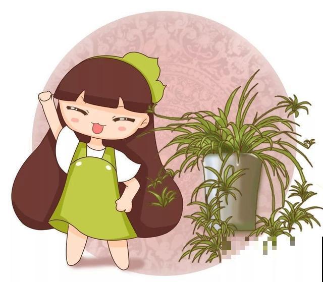 秋冬这花会结种，摘一把撒土里，呼呼长一片，能卖不少钱