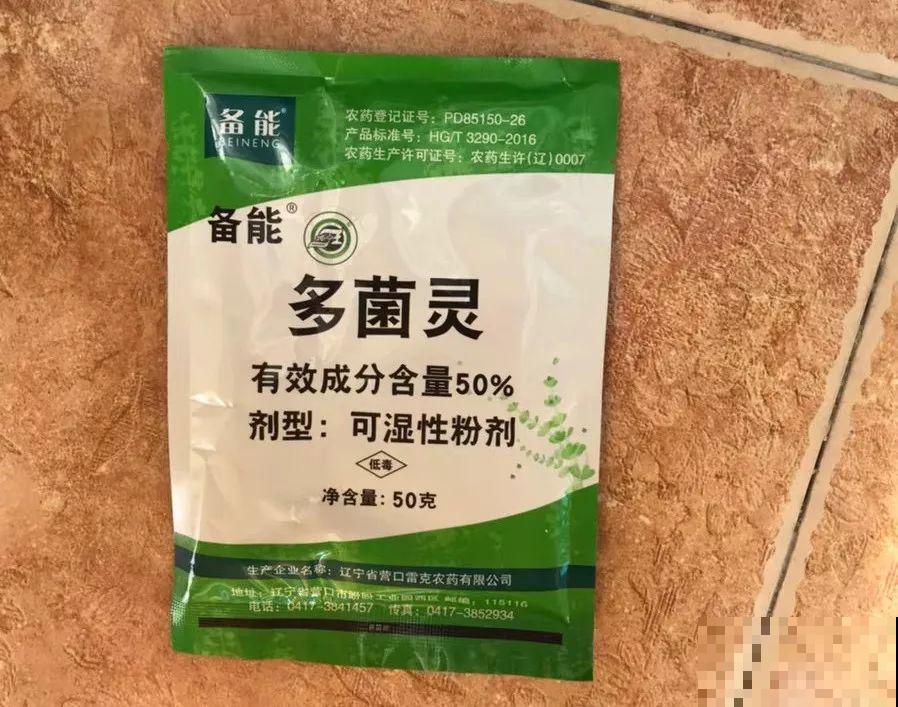 这花就得虐着养，套个袋子捂一捂，揭开立马冒花苞！