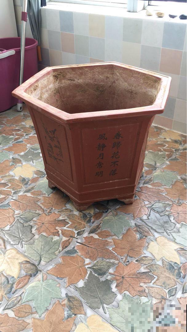 家里这些不值钱的东西不要扔，放花盆里，盆土更肥沃