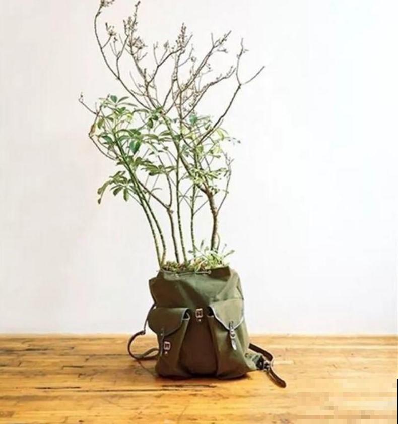 养花这些创意点你见过吗？家里想要整洁，就是得靠它！