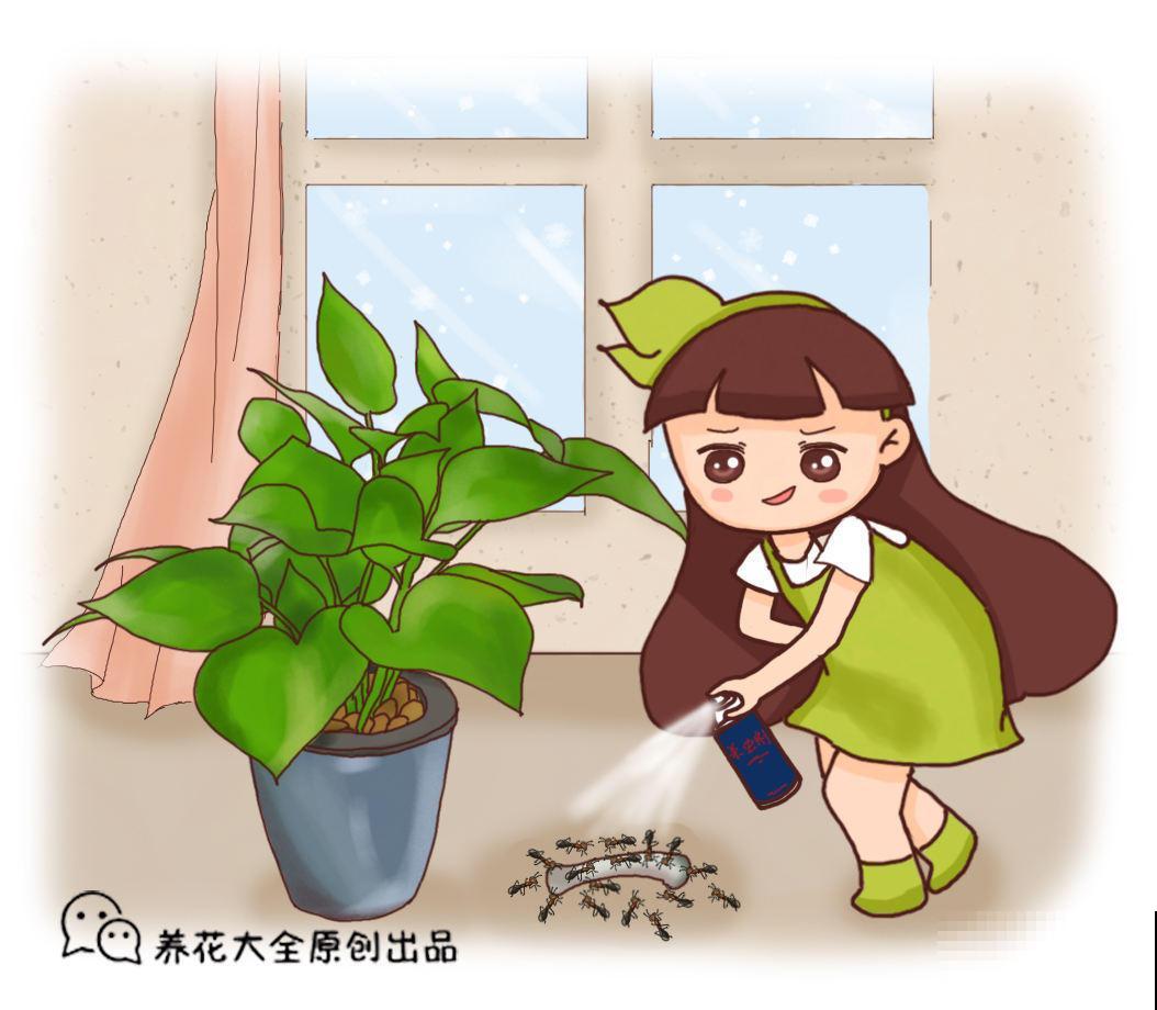 在家准备几头大蒜，可以驱虫防鼠，养花不用愁