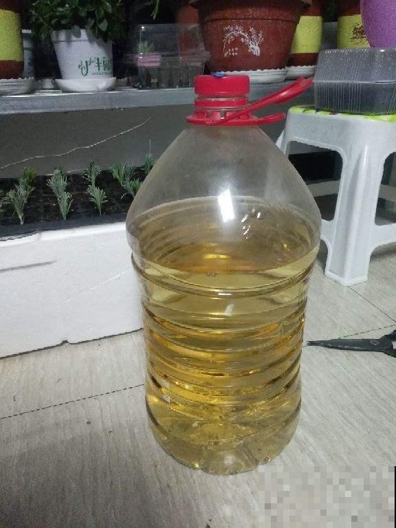 煮东西的水千万别倒，冬天拿来浇花刚刚好，花苞呼呼冒叶子猛蹿芽