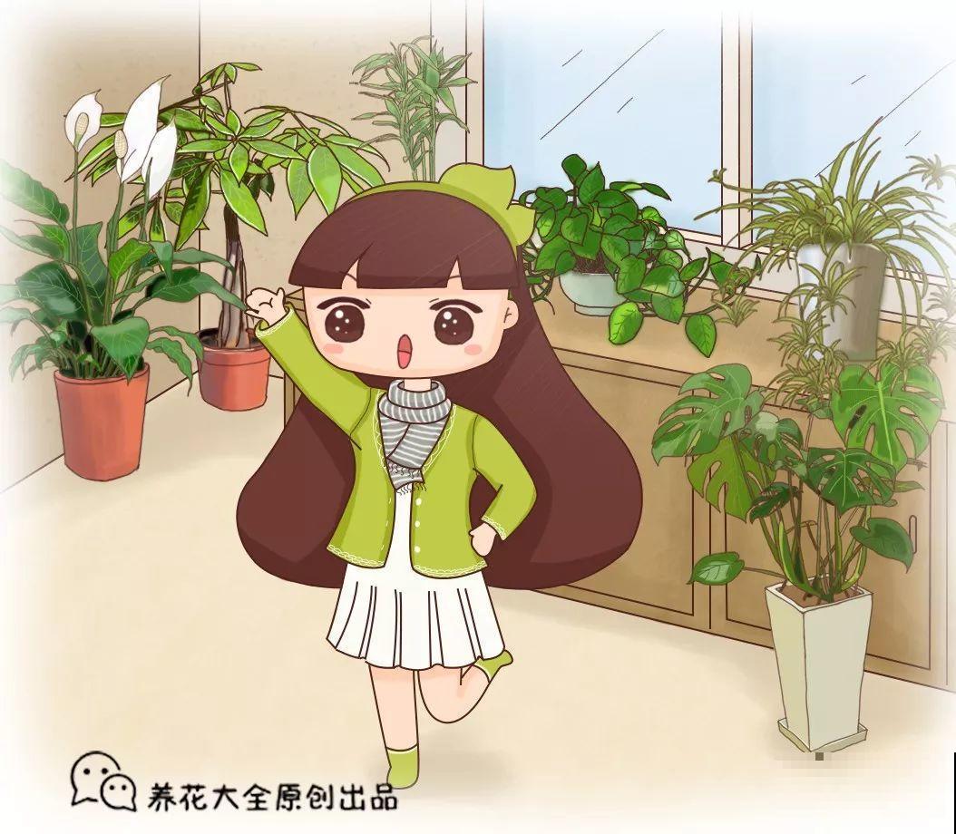 人养花，花也养人，这15种花，越养家里越干净！