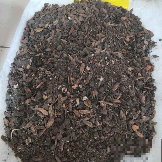 家里植物一年一次的换土，换下的土还有营养价值吗？花农这么处理