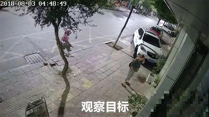 养了两年的宝贝花，大晚上被老太太偷走，太气人！