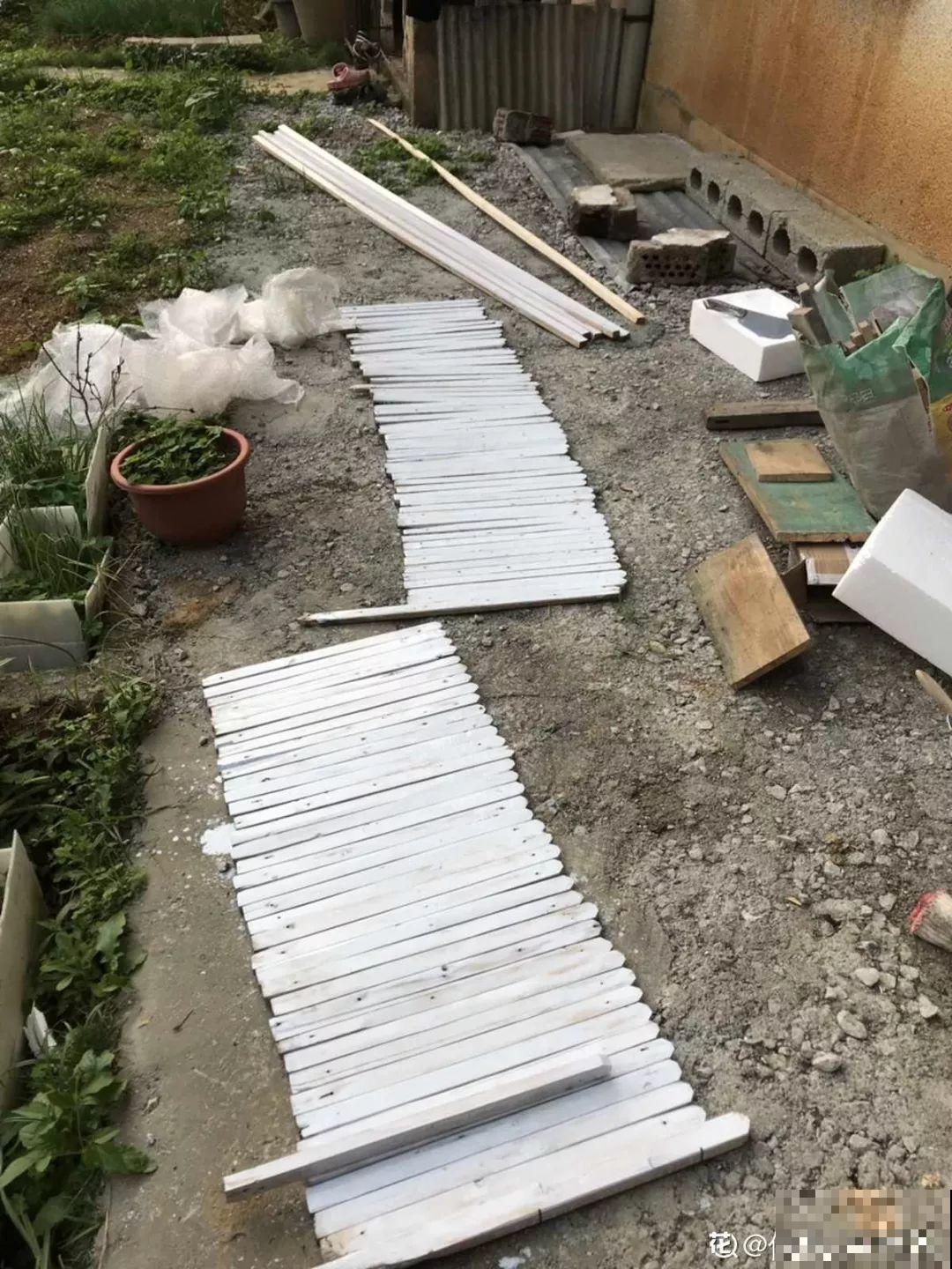 有个小院,养花喂猫,日子越过越充实! 有个小院,养花喂猫,日子越过越充实!