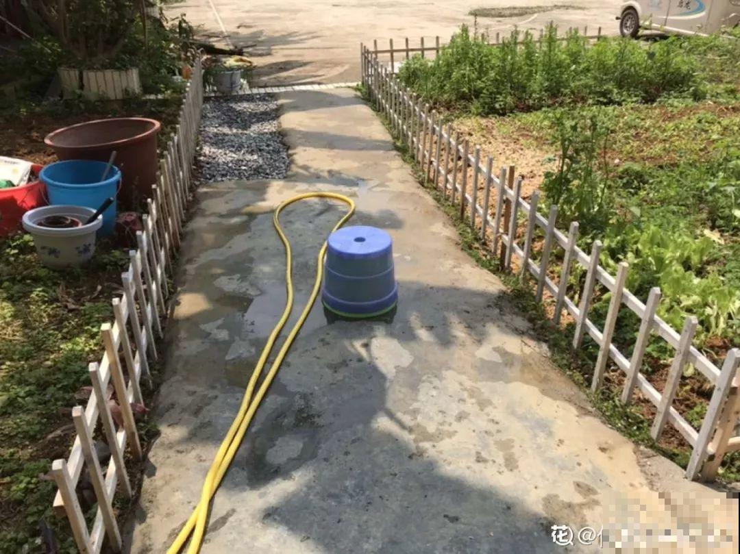 有个小院,养花喂猫,日子越过越充实! 有个小院,养花喂猫,日子越过越充实!