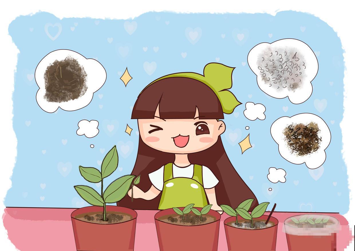 在家找个花盆种蓝莓，收获满满一大盆，还可以晒成干