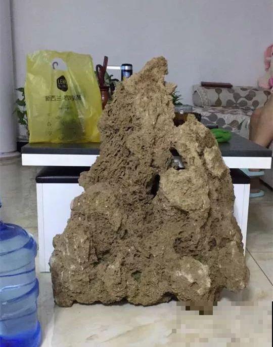 只要敢想，破瓦片也能做成景观，自己DIY比买的还漂亮！