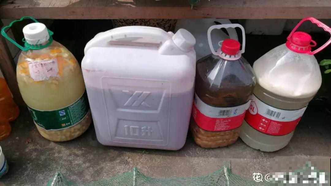 3种花别乱浇水，水越多越不开花，难怪这么多年不见一个花骨朵！