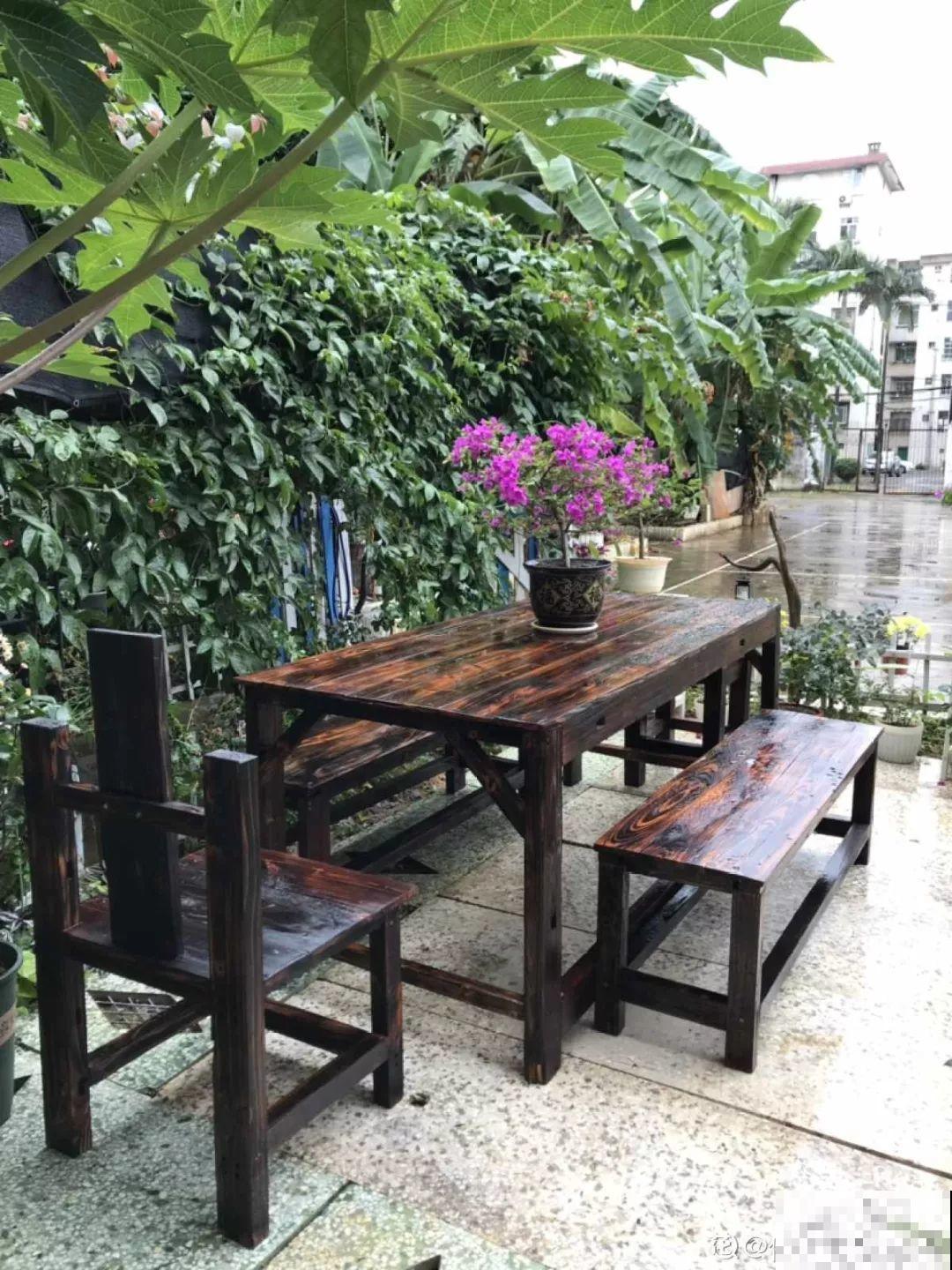 有个小院,养花喂猫,日子越过越充实! 有个小院,养花喂猫,日子越过越充实!