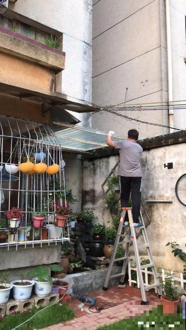 有个小院,养花喂猫,日子越过越充实! 有个小院,养花喂猫,日子越过越充实!