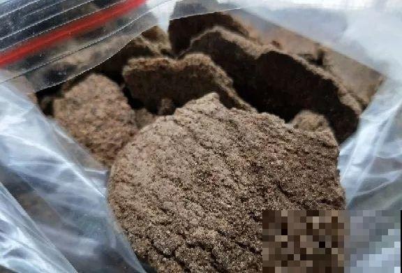 这6种养花底肥，埋一次管用大半年，秋天换盆少不了！