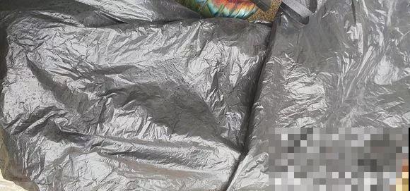这花就得虐着养，套个袋子捂一捂，揭开立马冒花苞！