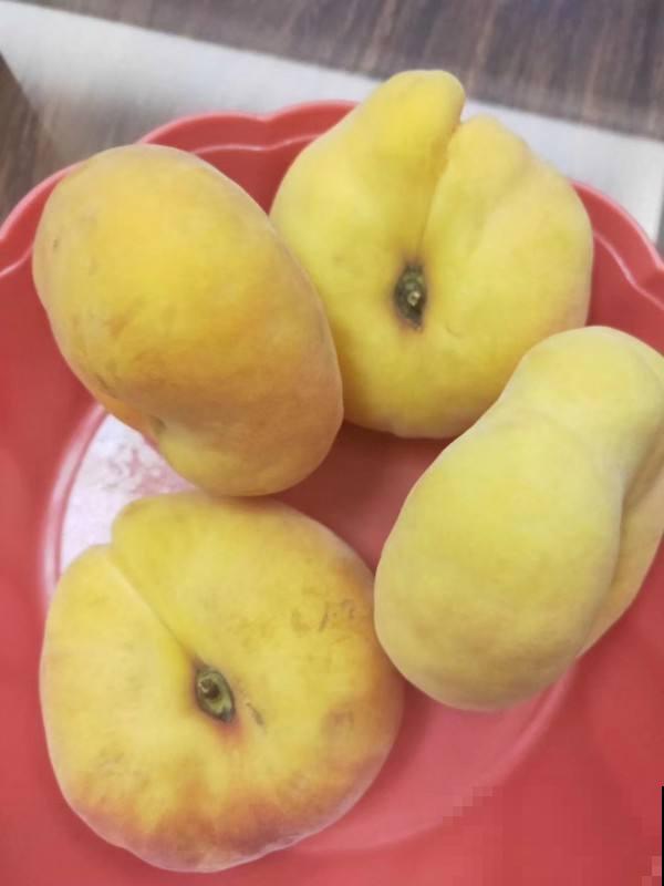 冰箱里放这东西，可以除异味，这里面还有大学问