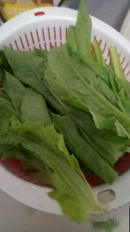 家庭种菜就选它，不用花钱就能吃上新鲜蔬菜，菜香飘十里