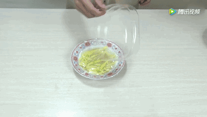 旧筷子先别扔，这样绑一绑，拿来养花有大用处！