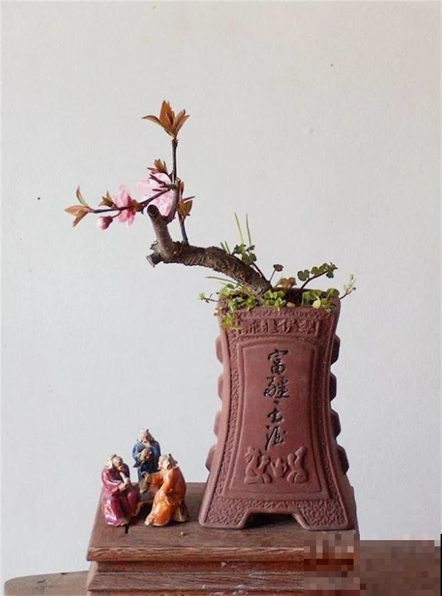 大爷不抽烟不喝酒，就爱捡酒瓶种花，养养就成传家宝