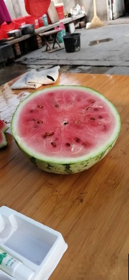 在家种了西瓜，1周就发芽了，可把邻居馋坏了