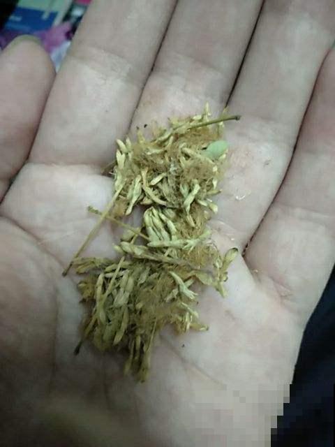听说口臭很难避免？从这几方面改变，远离口臭没烦恼