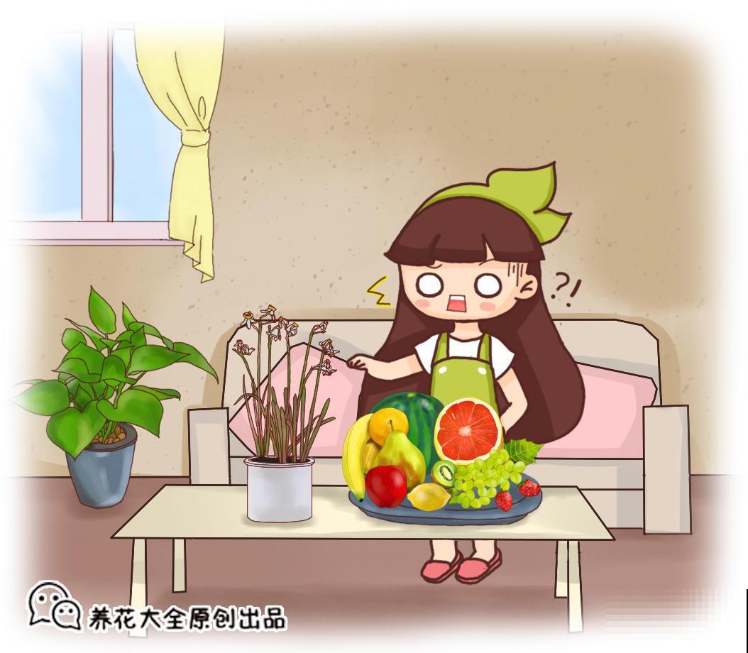 家有这花，冬天别浇水，不然养着养着就死了