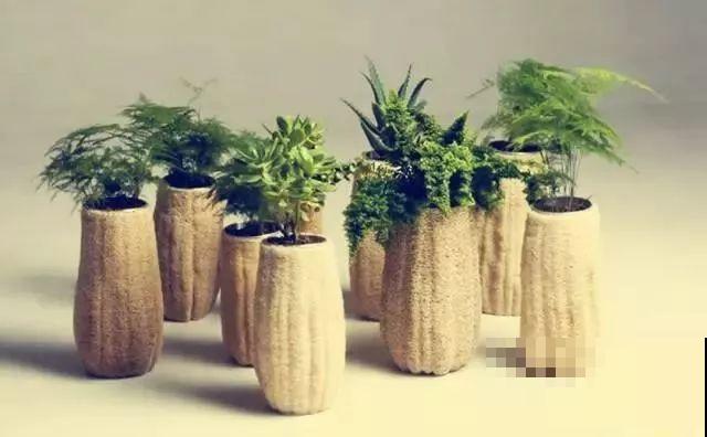 老丝瓜不要丢，剪碎了垫盆底，养花10年不烂根！