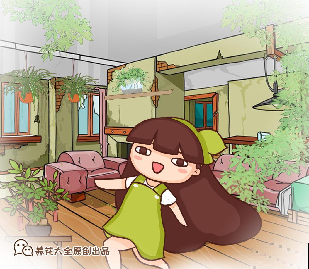 听小区里老人说，秋天这样驱蚊，蚊子吓得不敢靠近