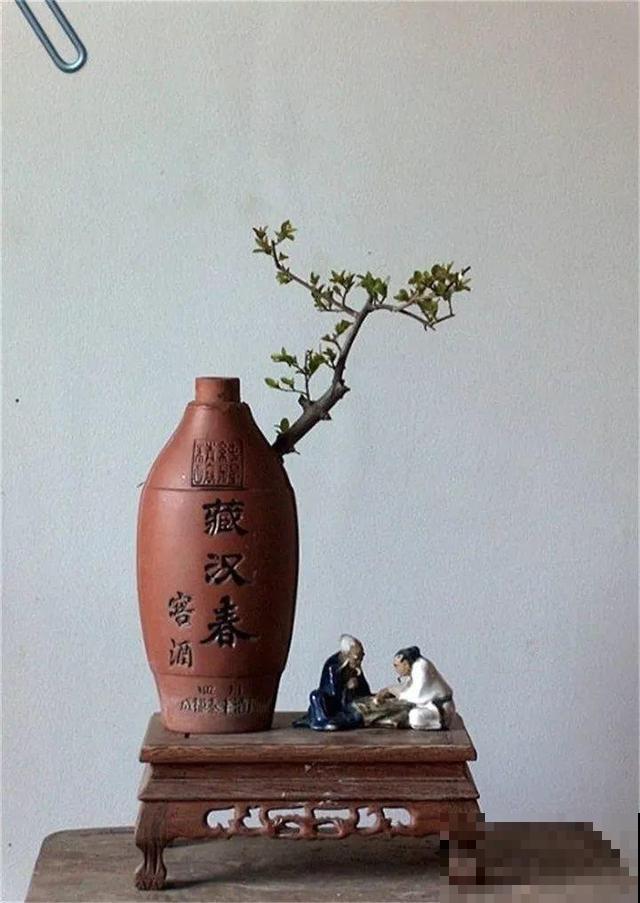 大爷不抽烟不喝酒，就爱捡酒瓶种花，养养就成传家宝