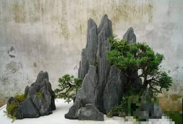 盆景里的小假山惟妙惟肖，原来自己就能做出来，只需要捡点它！