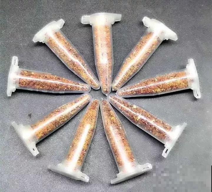 跟着他养多肉，年年不用买，结的种子撒土里就发芽！