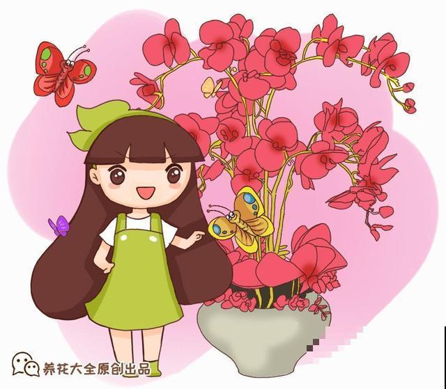 最受欢迎的贵气花，家里养一盆，富贵临门寓意好