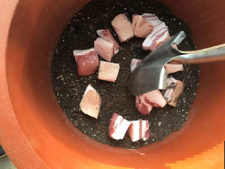 3种花爱吃油，秋天土里埋一勺，比施肥还管用！