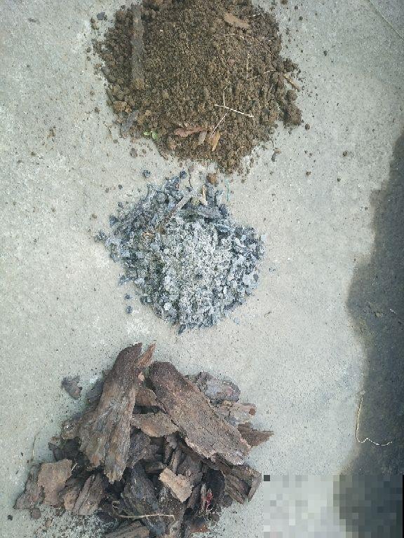 冬天怕花冻死，赶紧倒点这种灰，盆里一撒安全过冬！