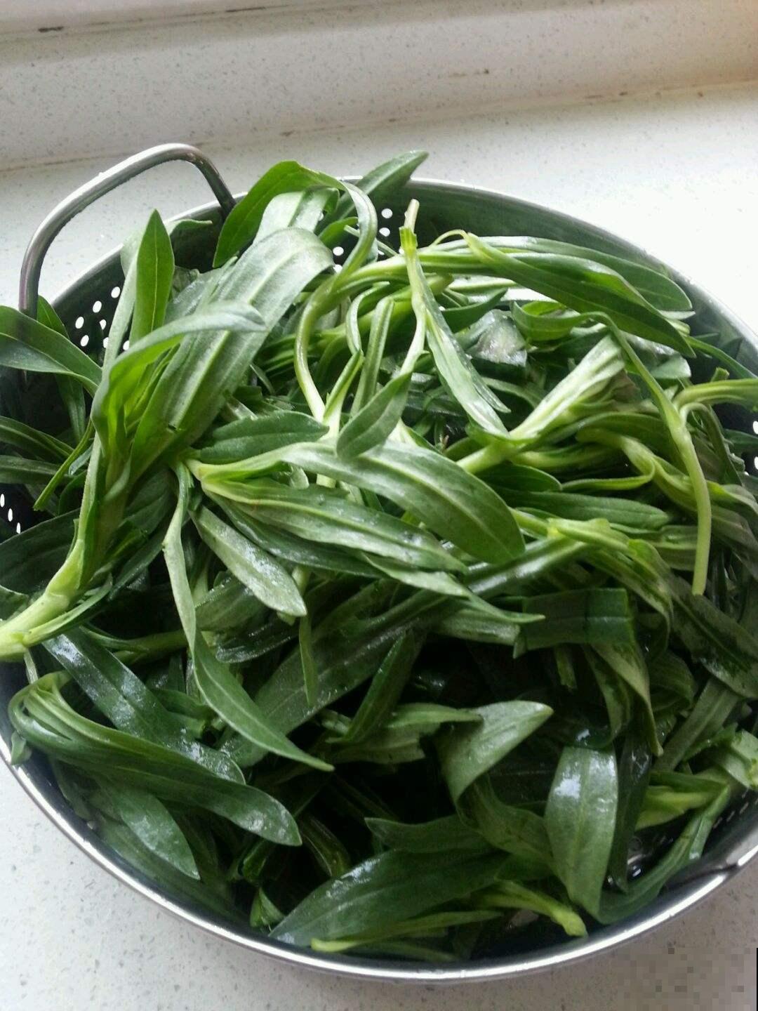 冬天能挖野菜？这种面条菜冬天生长春天吃，现在挖回家正是时候