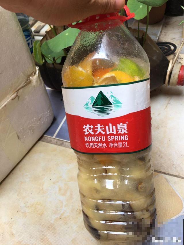 给花喂点抗冻肥，叶子又肥又绿，越长越有劲儿！