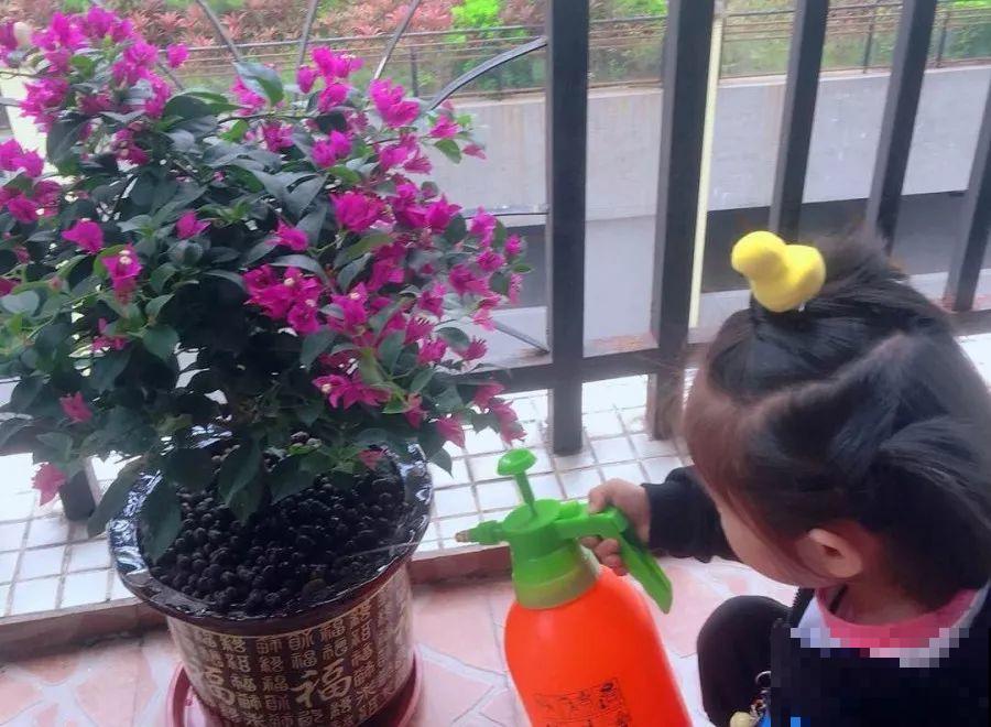 秋天给花浇水，记住3句话，安全过冬不烂根！