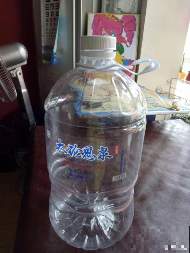 废油桶戳个洞，扦插3天就成活，养花再也不烂根！