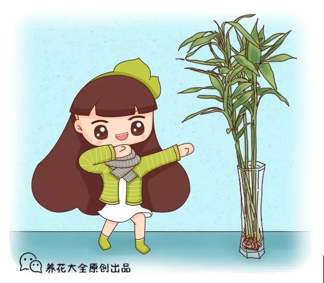 这6种“转运花”，现在养盆最合适，扔水里就长个！