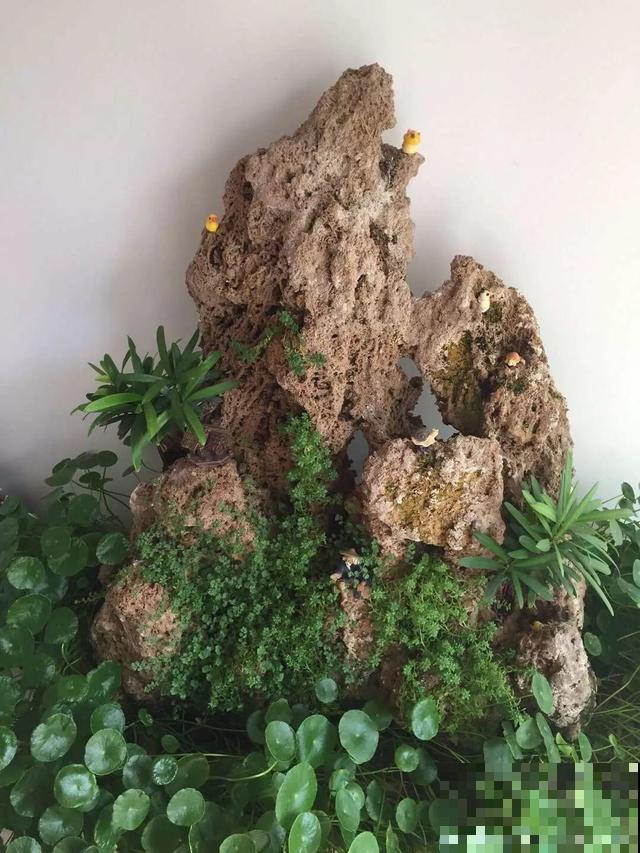 只要敢想，破瓦片也能做成景观，自己DIY比买的还漂亮！