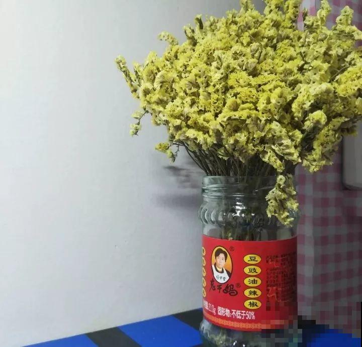旧筷子先别扔，这样绑一绑，拿来养花有大用处！