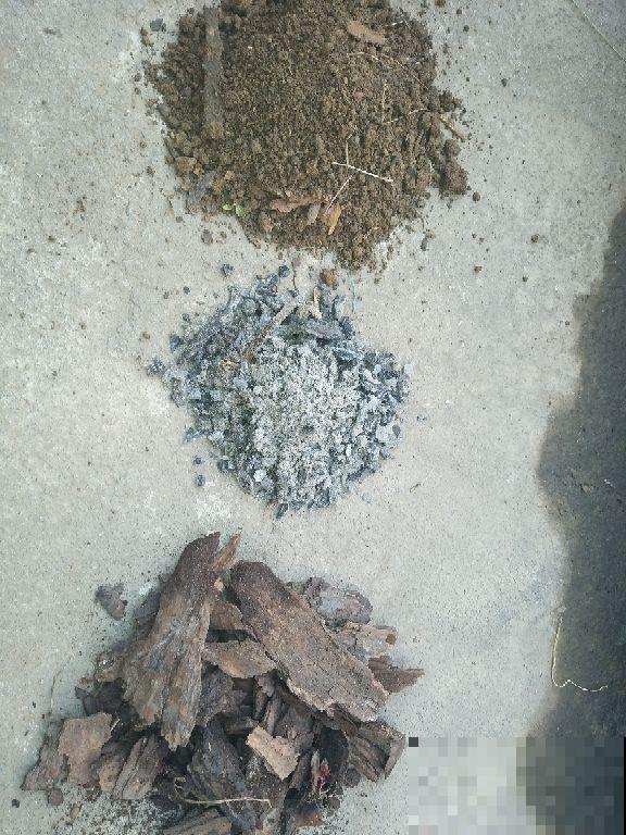 家里这些不值钱的东西不要扔，放花盆里，盆土更肥沃