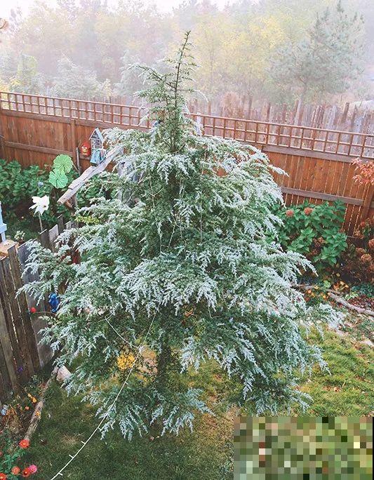 他卖掉房子，包了个山头，养花种菜乐悠悠！