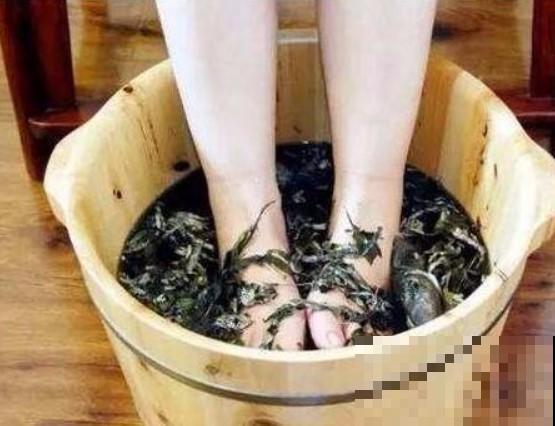 农村都拿艾草当宝，原来还有这3种效果，现在才知道也不迟！