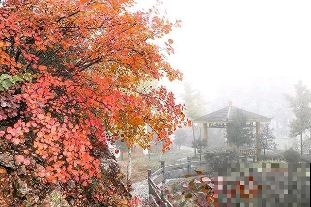 秋天是什么样子呢？只有看过，才能懂它的美！