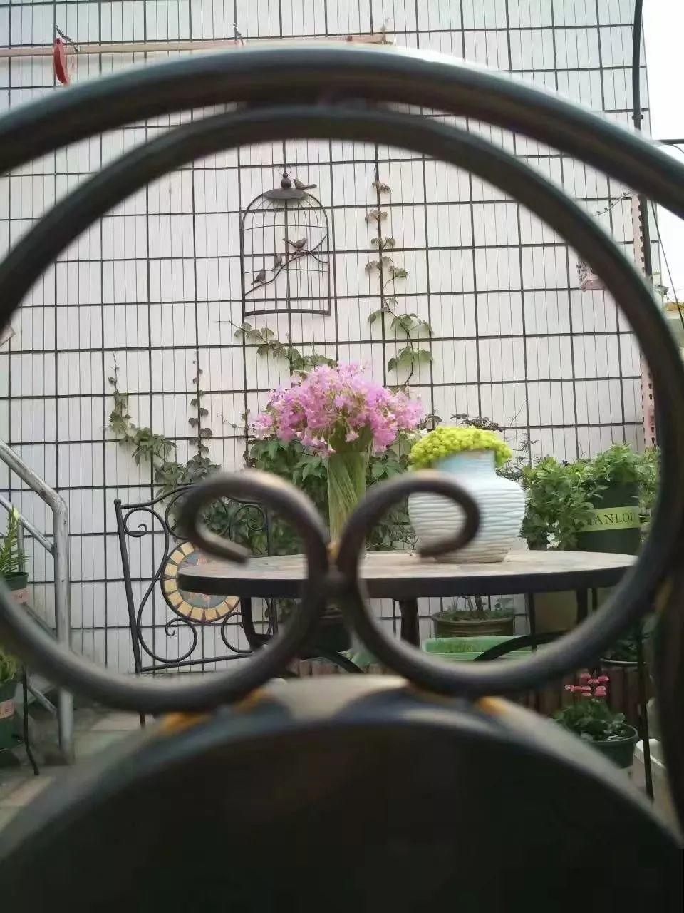 二胎妈妈建花园，一边带娃一边养花，全家人都支持！