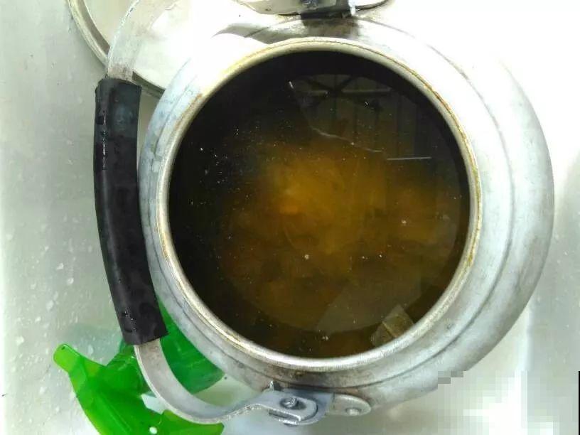 自制养花杀菌水，7天浇一勺，养花再也不黄叶！